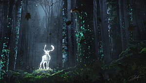 Luminous White Stag in a Mystical Glowing Forest at Night HD wallpaper