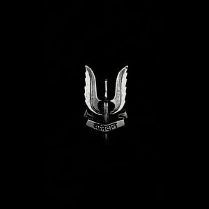 Balidan Emblem with Winged Design and Script Banner on Black Background HD phone wallpaper