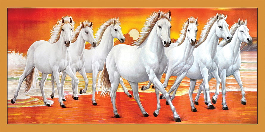 Seven White Horses Running on Beach at Sunset HD wallpaper