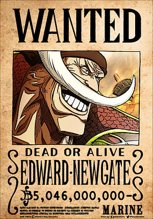 Edward Newgate Whitebeard Wanted Poster One Piece Anime HD phone wallpaper