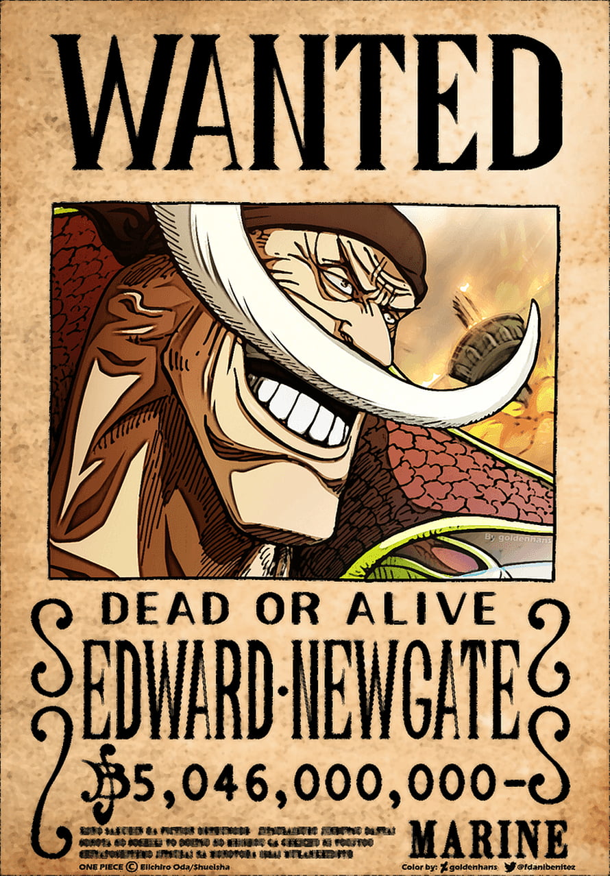 Edward Newgate Whitebeard Wanted Poster One Piece Anime HD phone wallpaper
