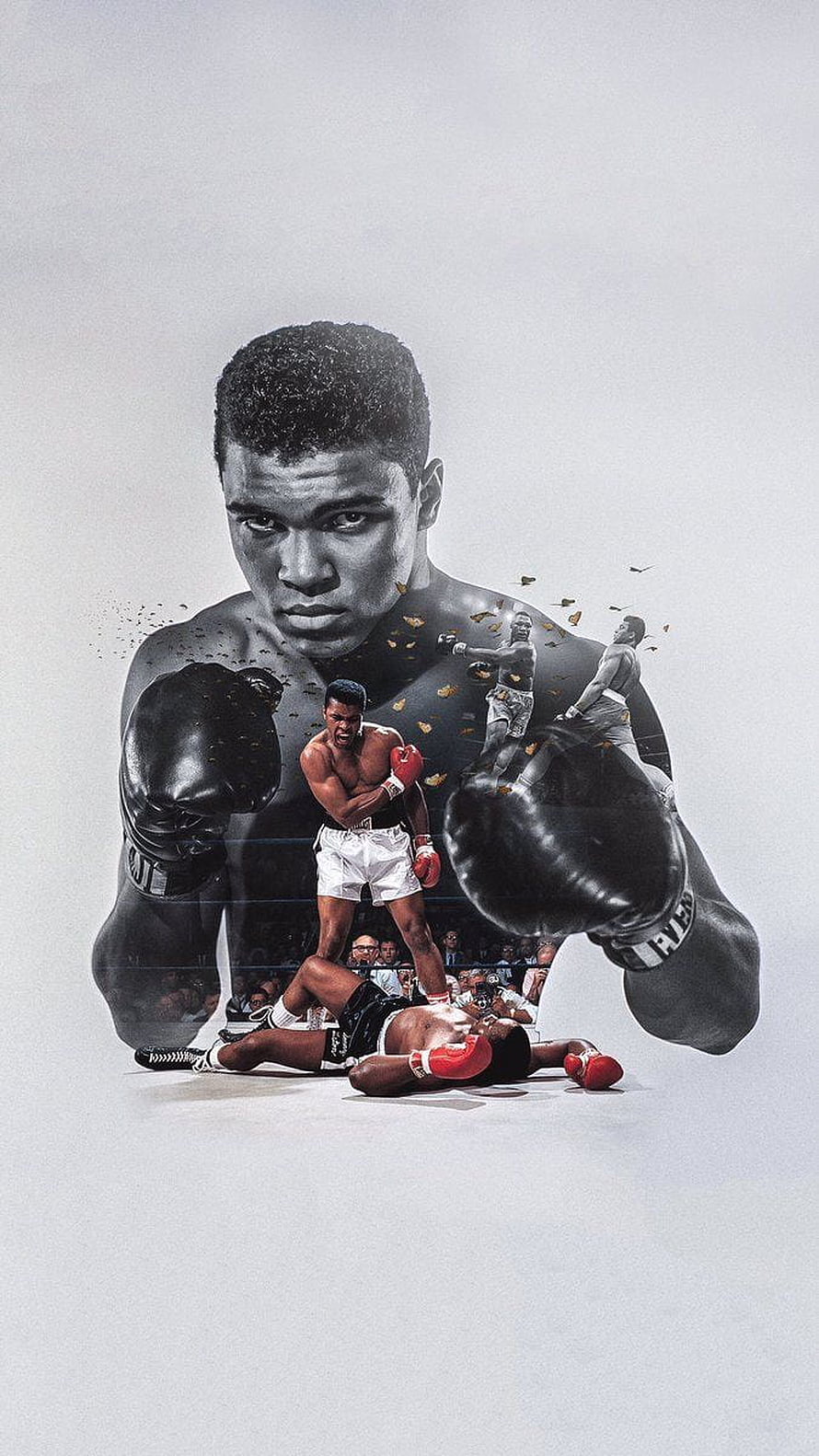 Muhammad Ali Legendary Boxing Champion Artwork HD phone wallpaper