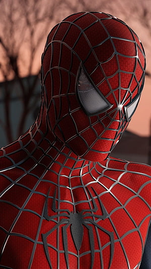 Spider-Man Close-Up Portrait in Red and Blue Suit with Web Pattern, Spider-Man 2002, red, marvel, blue, comics, superhero, spiderman HD phone wallpaper