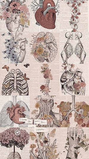 Vintage Anatomical Illustration Collage with Botanical Floral Elements and Skeletal Studies HD phone wallpaper
