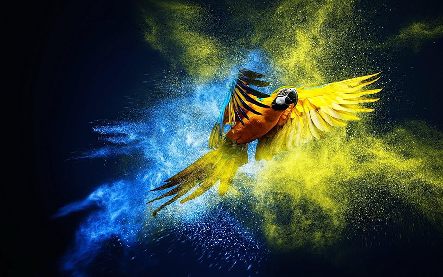 Vibrant Macaw in Flight Amidst Explosive Blue and Yellow Powder Burst HD wallpaper