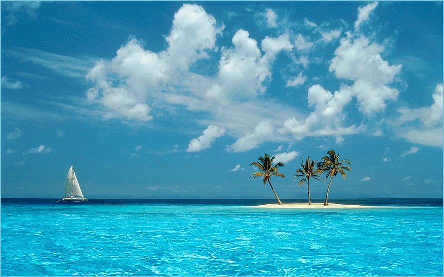 Tropical Paradise Island with Palm Trees and Sailboat in Turquoise Ocean HD wallpaper