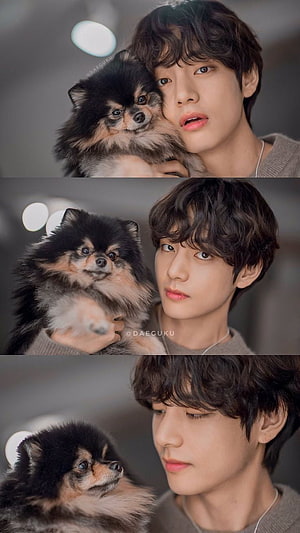 V BTS Holding Puppy Portrait Wallpaper HD phone wallpaper
