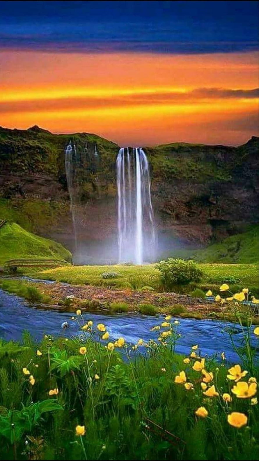 Majestic Waterfall Plunging Into a Stream at Golden Hour with Vibrant Yellow Wildflowers HD phone wallpaper