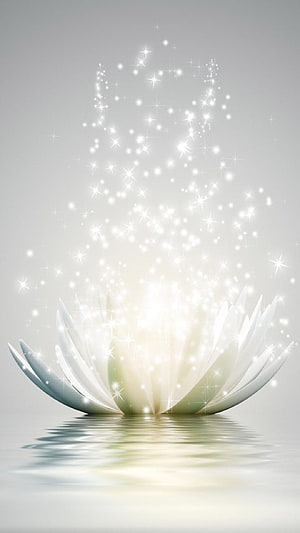 Ethereal White Lotus Flower with Sparkling Light Particles on Calm Water Surface HD phone wallpaper