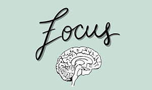 Hand-drawn brain illustration with cursive focus lettering on a soft mint background HD wallpaper
