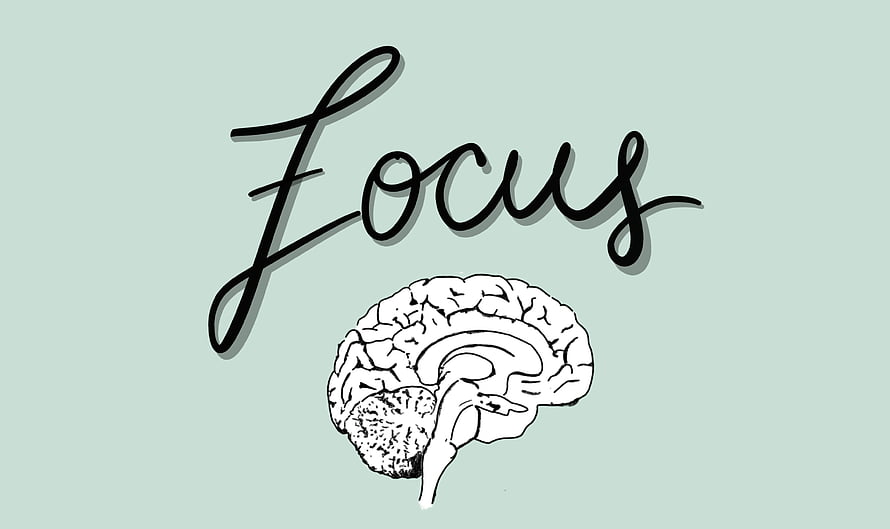 Hand-drawn brain illustration with cursive focus lettering on a soft mint background HD wallpaper