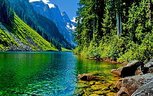 Vibrant Alpine Lake with Crystal Clear Water and Lush Forested Mountains HD wallpaper