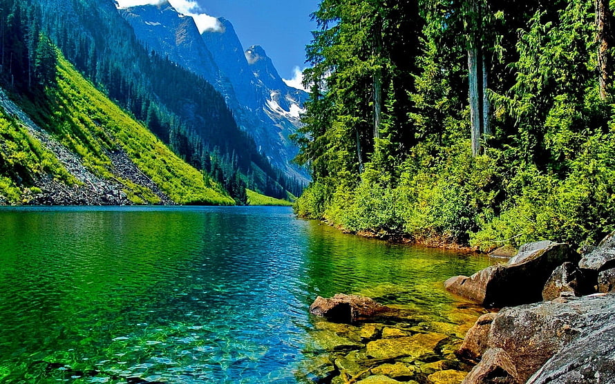 Vibrant Alpine Lake with Crystal Clear Water and Lush Forested Mountains HD wallpaper
