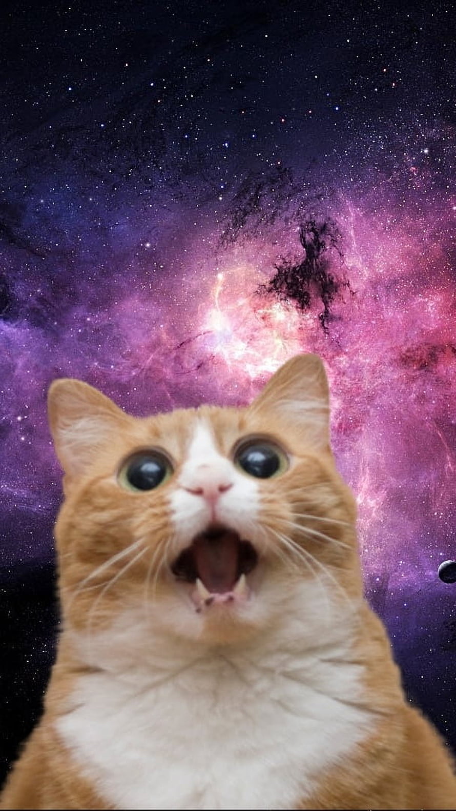 Funny Surprised Orange Cat With Wide Eyes Against A Purple Galaxy Space Background HD phone wallpaper