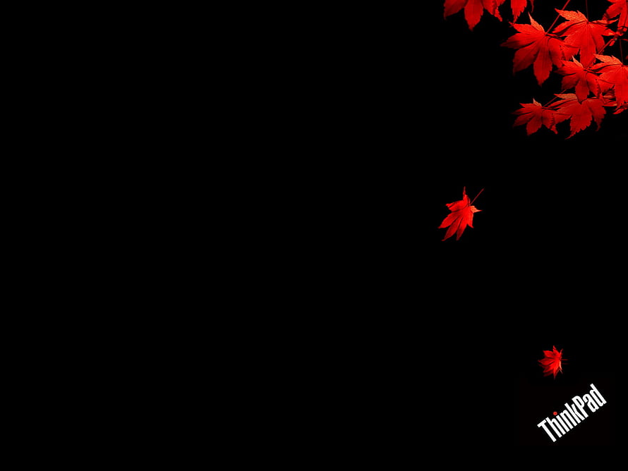ThinkPad Red Maple Leaves on Black Background HD wallpaper