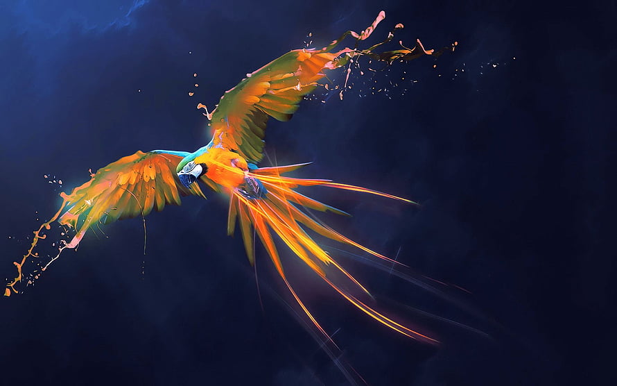 Vibrant Macaw in Flight with Dynamic Paint Splashes Against Dark Background HD wallpaper