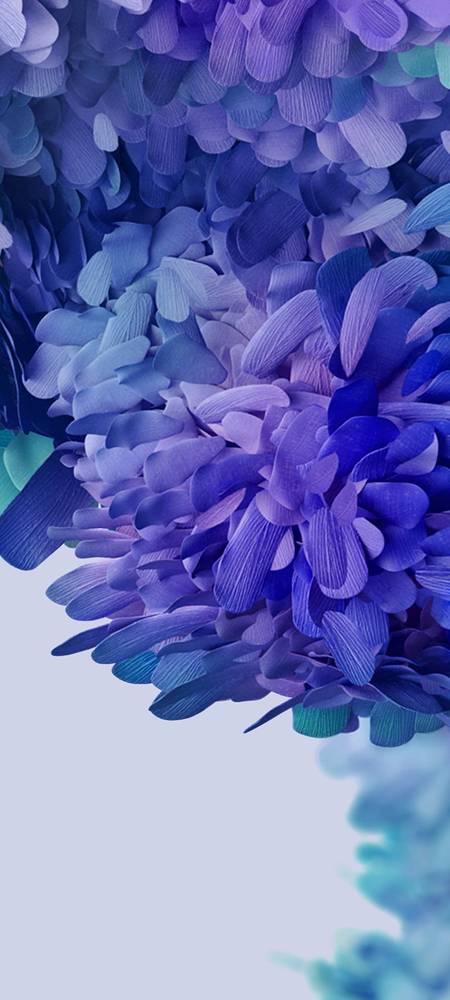 Vibrant Blue and Purple Hydrangea Flower Close-Up HD phone wallpaper