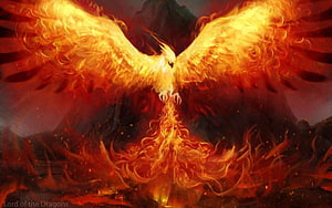 Majestic Phoenix Rising in a Blaze of Golden Fire and Embers HD wallpaper