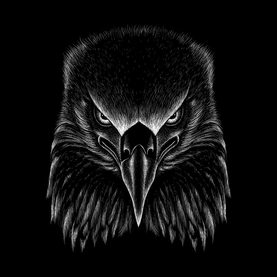 Detailed Black and White Eagle Head Illustration with Intense Gaze HD phone wallpaper