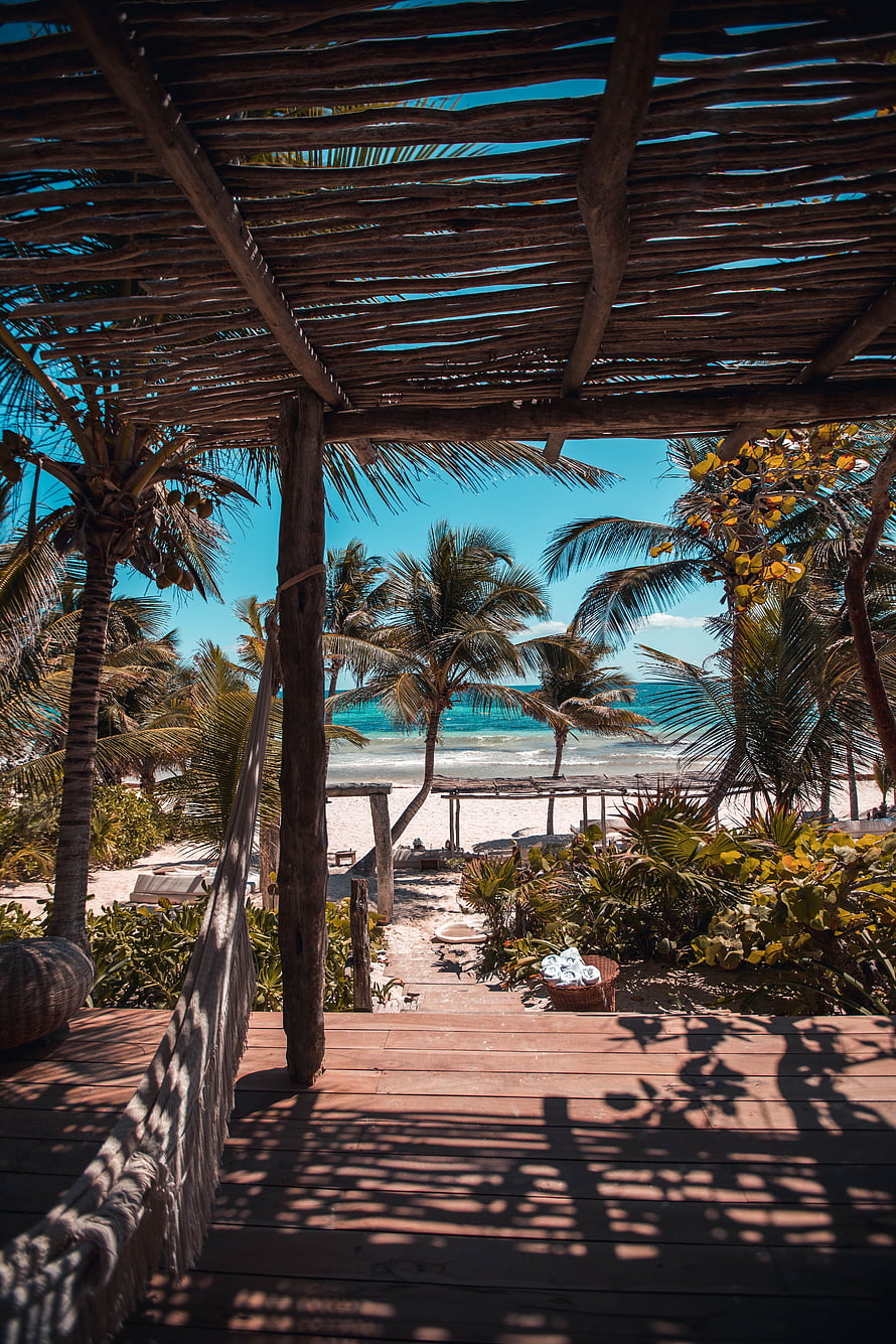 Tropical Beach Retreat View From Wooden Pergola With Palm Trees And Turquoise Ocean HD phone wallpaper