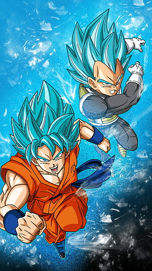 Goku and Vegeta Super Saiyan Blue Battle Artwork from Dragon Ball Z HD phone wallpaper