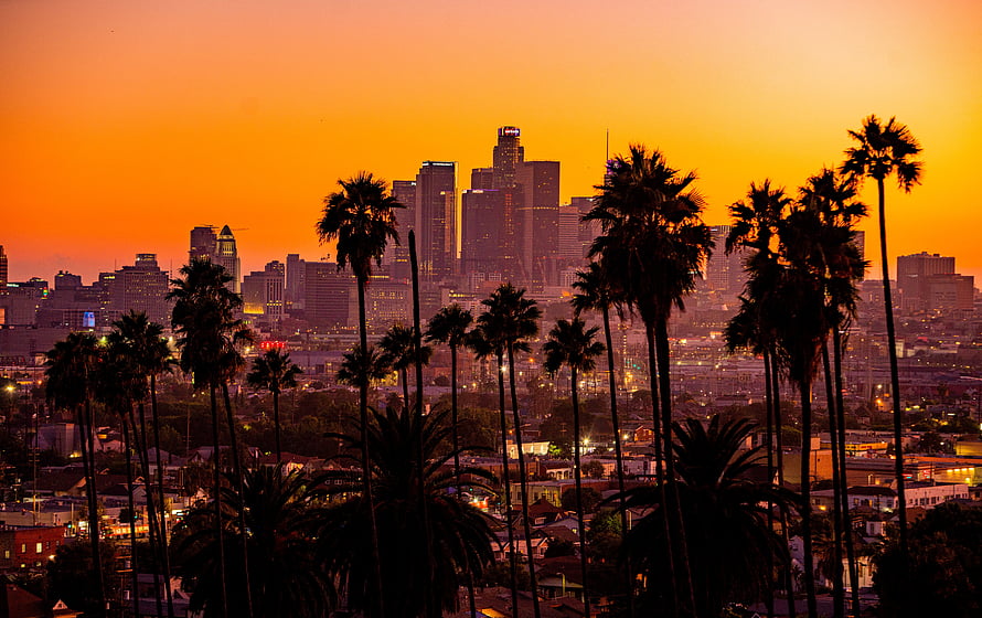 Los Angeles skyline at sunset with silhouetted palm trees in the foreground HD wallpaper