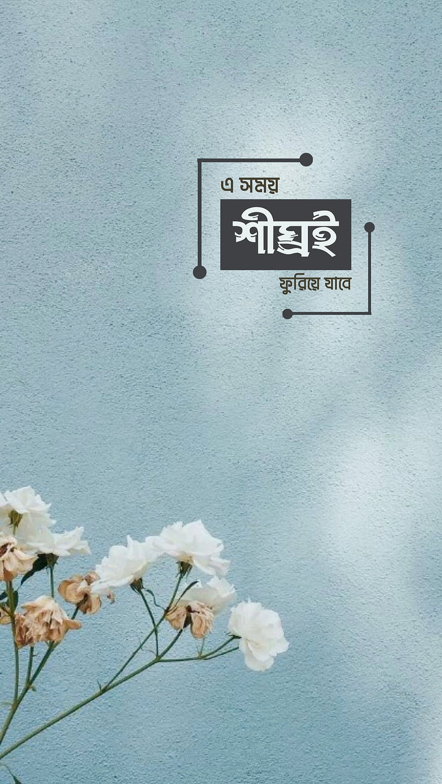 Shib Sankranti Festival Greeting Wallpaper With White Flowers HD phone wallpaper