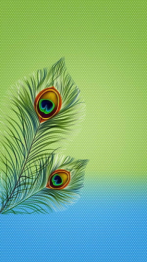 Elegant Peacock Feathers on Green and Blue Gradient Background HD phone wallpaper