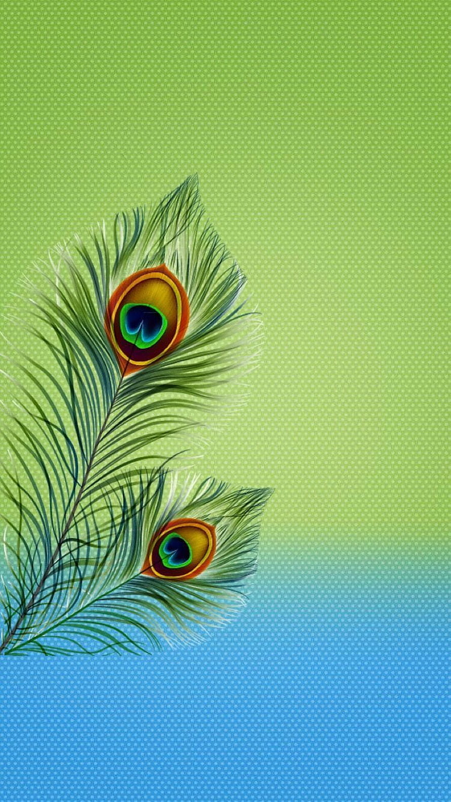 Elegant Peacock Feathers on Green and Blue Gradient Background HD phone wallpaper