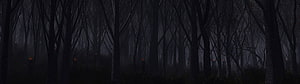 Eerie Dark Forest Scene with Glowing Embers and Misty Atmosphere HD wallpaper