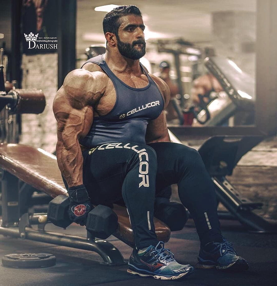 Hadi Choopan Performing Seated Dumbbell Curl in Gym HD phone wallpaper