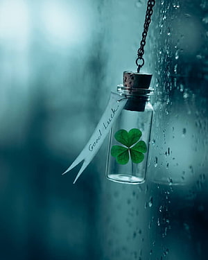 Four Leaf Clover In A Glass Bottle With Good Luck Note Hanging By Rainy Window HD phone wallpaper
