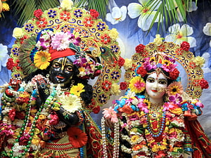 Colorful Radha Krishna Idols Adorned With Fresh Flowers And Jewels HD wallpaper