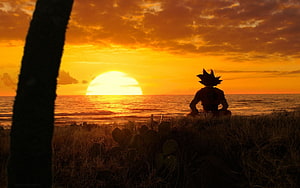 Goku Silhouette Meditating at Ocean Sunset in Dragon Ball Z HD wallpaper