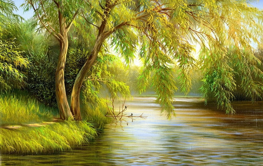 Serene Willow Tree Landscape Along a Calm River with Soft Morning Light and Lush Greenery HD wallpaper