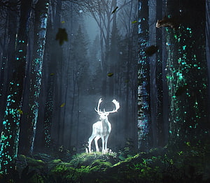 Glowing White Stag in Mystical Bioluminescent Forest with Squirrel HD wallpaper