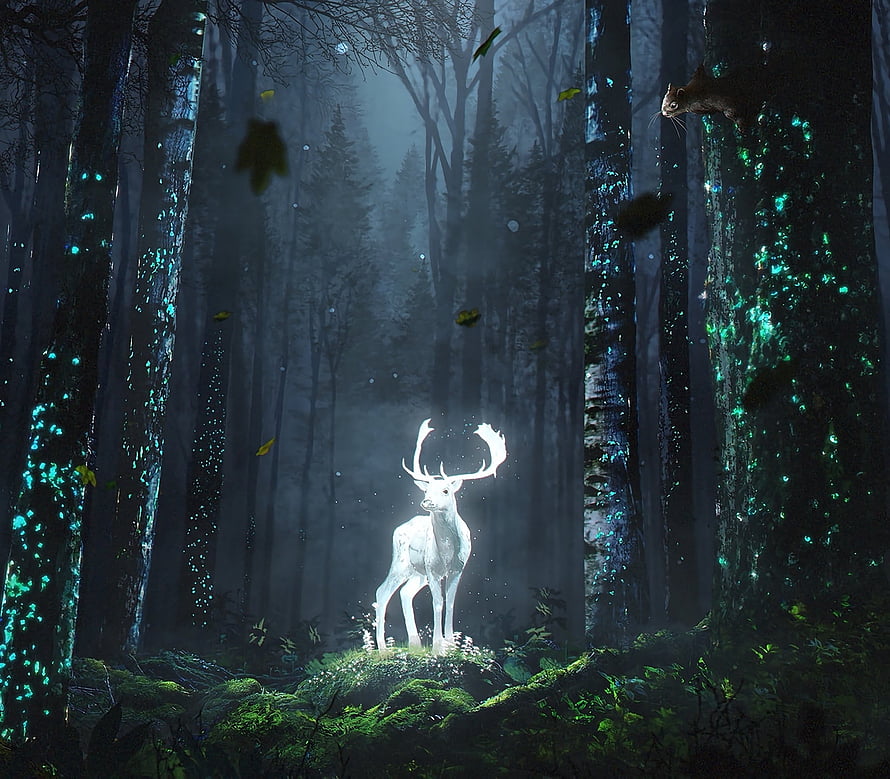 Glowing White Stag in Mystical Bioluminescent Forest with Squirrel HD wallpaper