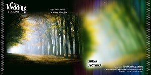 Romantic Wedding Album Template with Misty Forest Path and Autumn Light HD wallpaper