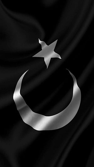 Black and Silver Crescent Moon and Star Flag Wallpaper HD phone wallpaper
