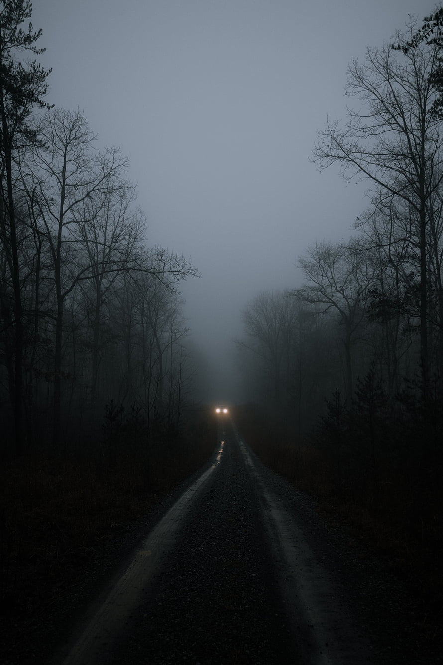 Misty Forest Road at Dusk with Distant Car Headlights HD phone wallpaper