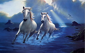 Two White Horses Galloping Through Ocean Waves Under Dramatic Sky HD wallpaper