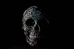 Ornate Sugar Skull with Floral Patterns in Dramatic Low-Key Lighting HD wallpaper
