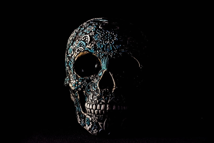 Ornate Sugar Skull with Floral Patterns in Dramatic Low-Key Lighting HD wallpaper