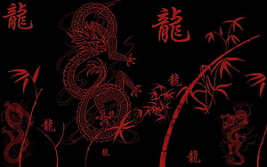 Red Japanese Dragon and Bamboo Line Art on Black Background HD wallpaper