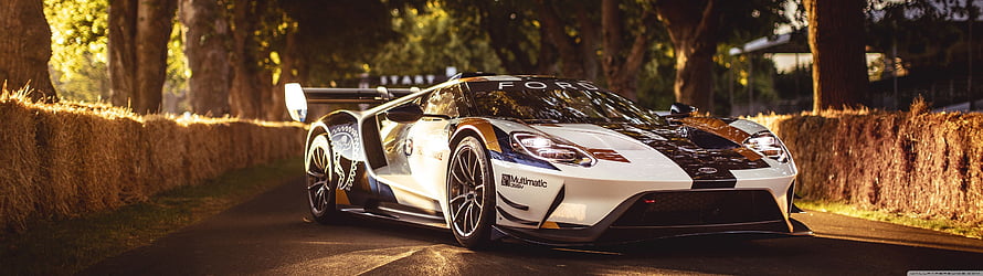 Ford GT Heritage Edition Racing Livery on a Tree-Lined Road at Sunset HD wallpaper