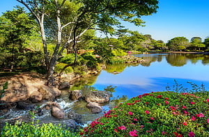 Serene Garden Pond With Lush Greenery, Vibrant Pink Flowers, and Calm Water Reflections HD wallpaper