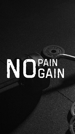 No Pain No Gain Gym Motivation Barbell Wallpaper HD phone wallpaper