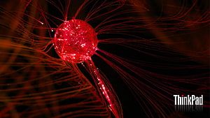 Lenovo ThinkPad Red Plasma Globe with Electric Filaments on Black Background HD wallpaper