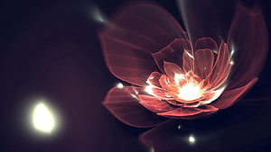 Glowing translucent lotus flower with radiant light burst on dark background HD wallpaper