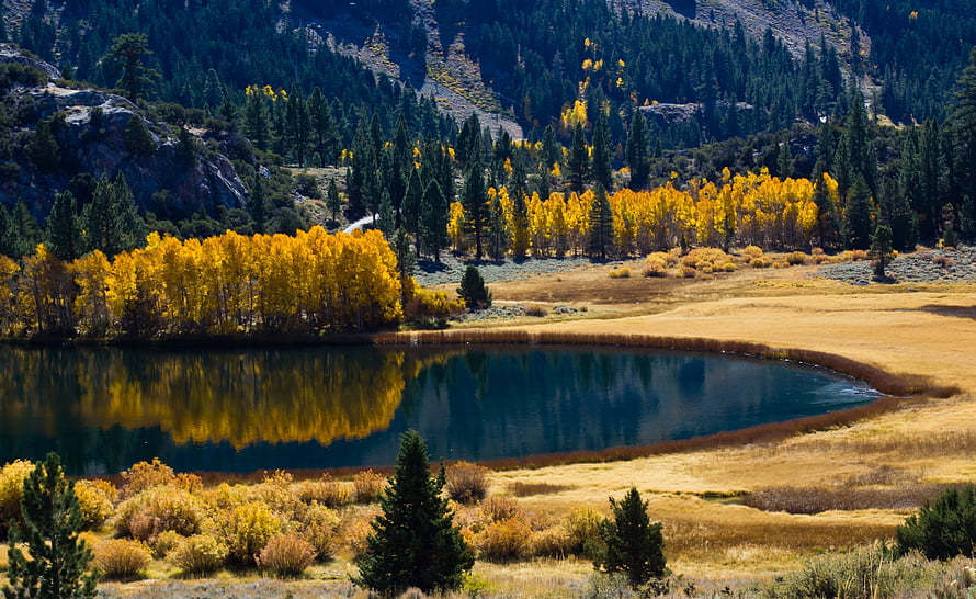 Serene Mountain Lake Surrounded by Golden Autumn Aspen Trees and Pine Forest HD wallpaper